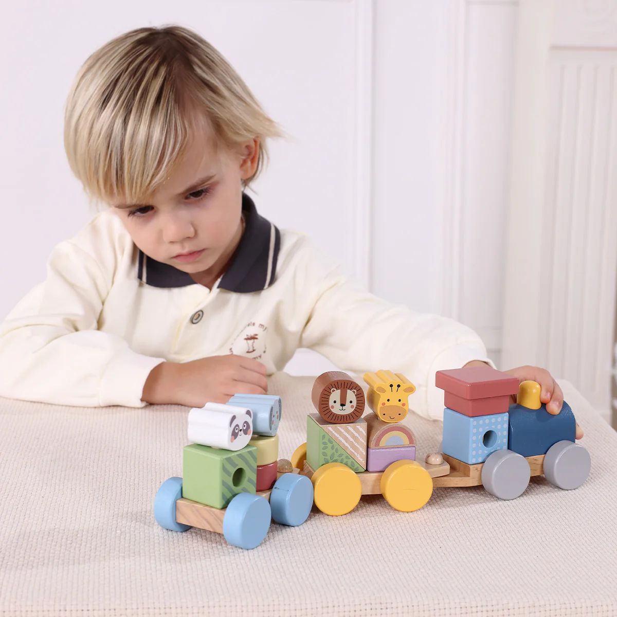 Tooky Toys – Tren renditës me kafshë