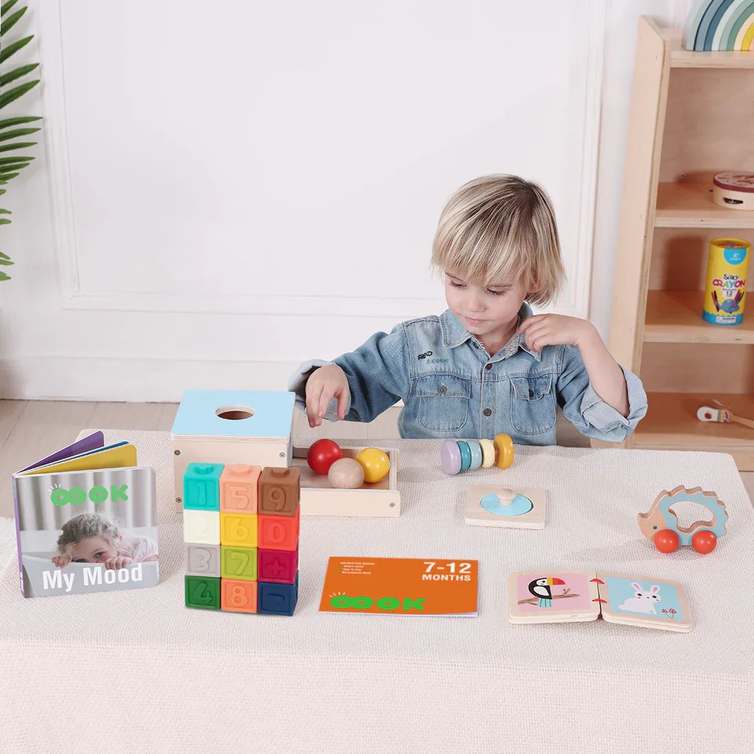 Tooky Toys – Kuti edukative 7–12 muaj